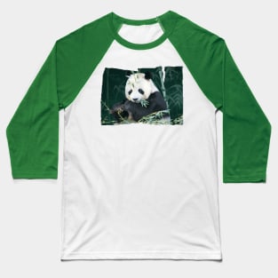 Panda With Bamboo Baseball T-Shirt